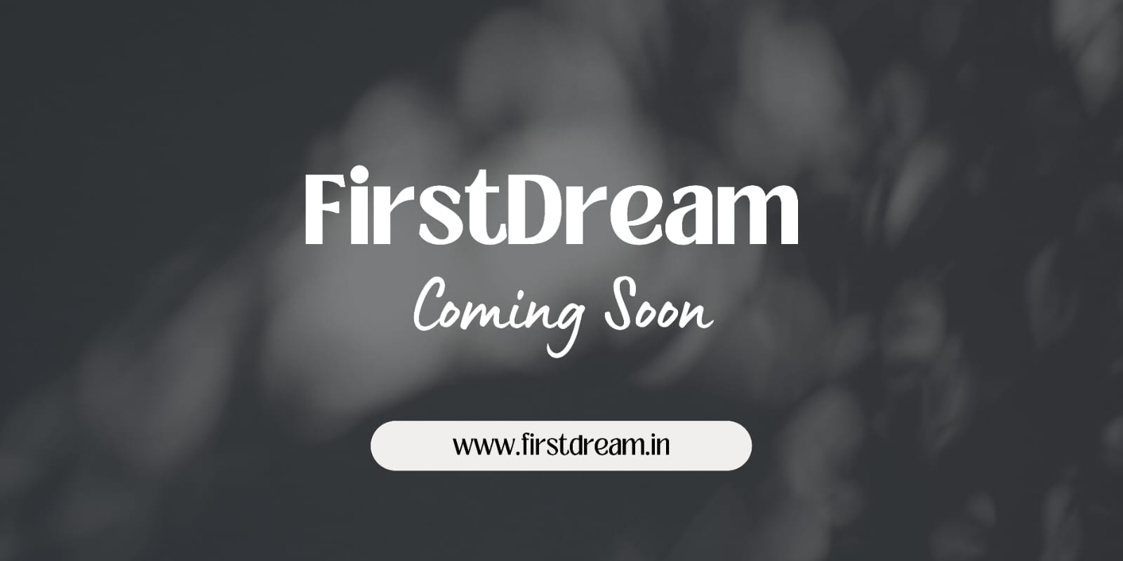 Dream Homes Banner 2